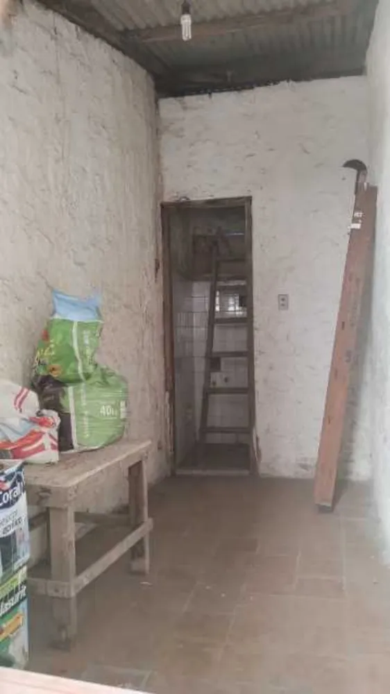 Casa, 4 quartos, 250 m² - Foto 15
