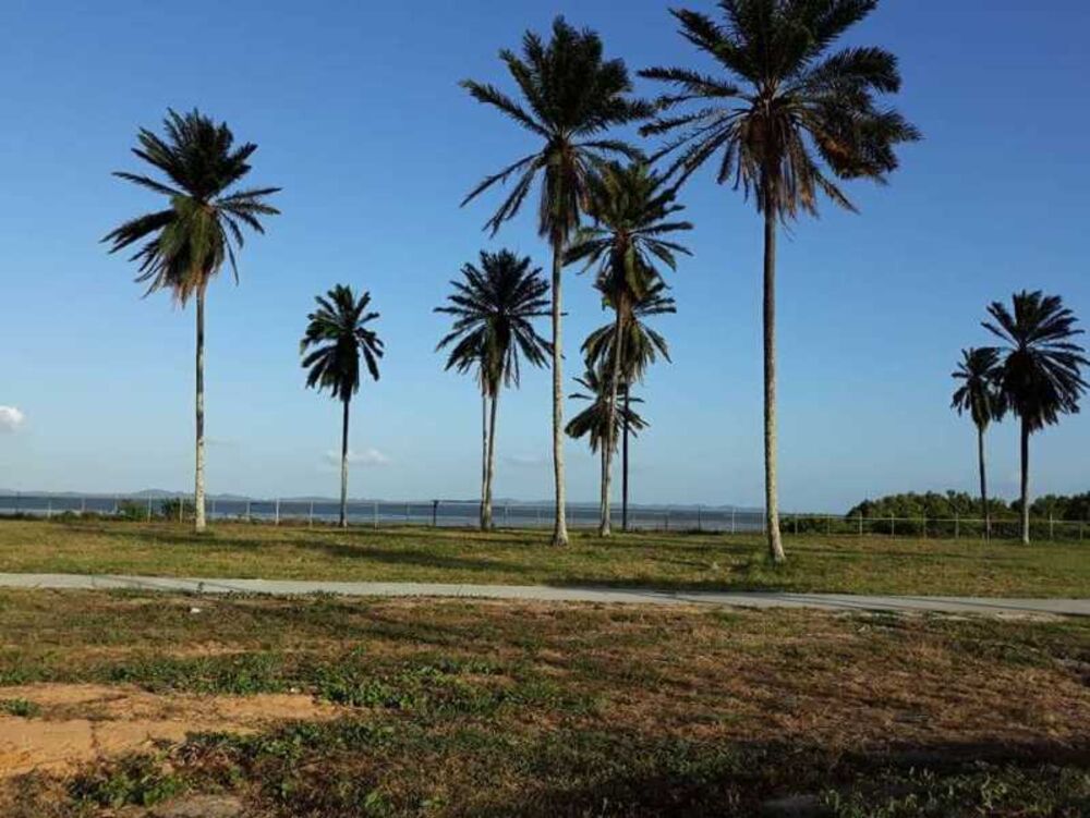 Terreno, 550 m² - Foto 5