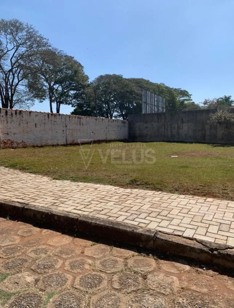Terreno, 260 m² - Foto 5