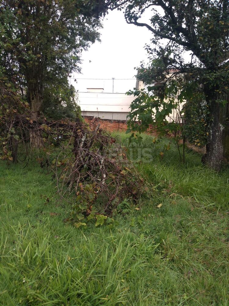 Casa à venda com 3 quartos, 173m² - Foto 7