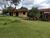 Chácara, 1 quarto - Foto 20