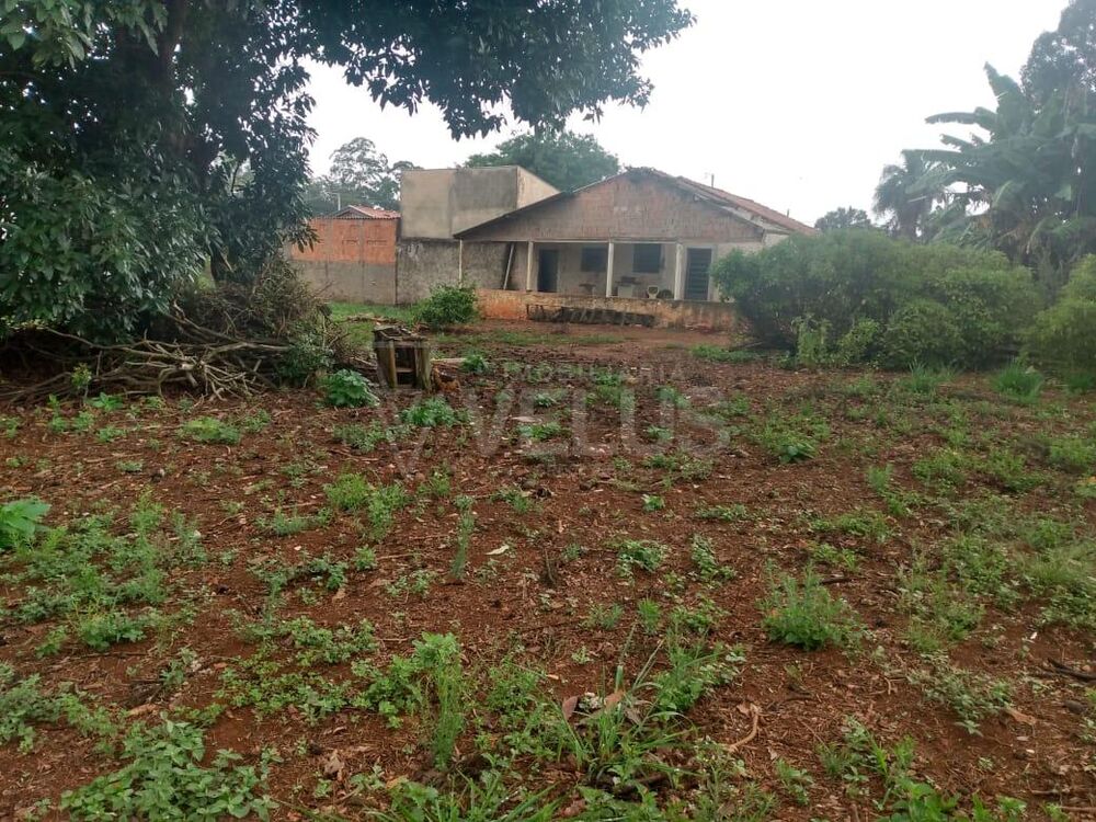 Fazenda à venda com 1 quarto, 2970m² - Foto 11