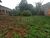 Fazenda-Sítio-Chácara, 1 quarto - Foto 10