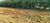 Terreno, 150 m² - Foto 5