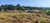 Fazenda-Sítio-Chácara, 1 quarto - Foto 1