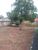Terreno, 40 m² - Foto 4
