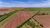 Fazenda - Foto 3