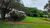Fazenda - Foto 4