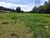 Terreno, 13000 m² - Foto 4