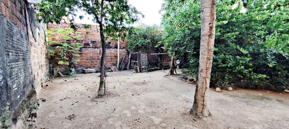 Terreno à venda, 360M2 - Foto 6