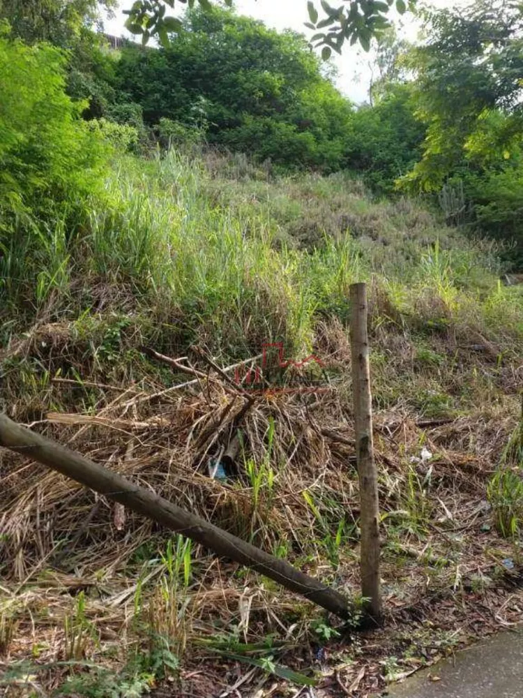 Terreno, 450 m² - Foto 10