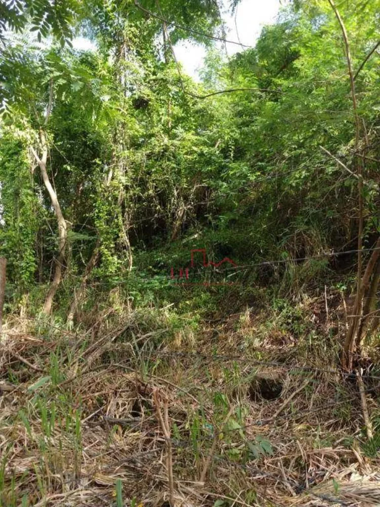 Terreno, 450 m² - Foto 7