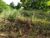 Terreno, 450 m² - Foto 2