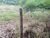 Terreno, 450 m² - Foto 4