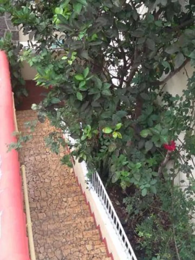 Casa, 4 quartos, 350 m² - Foto 5