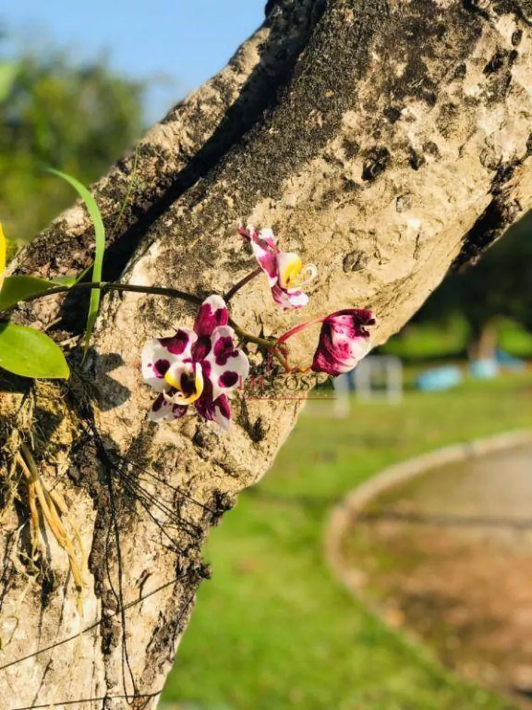 Loteamento e Condomínio, 408 m² - Foto 12