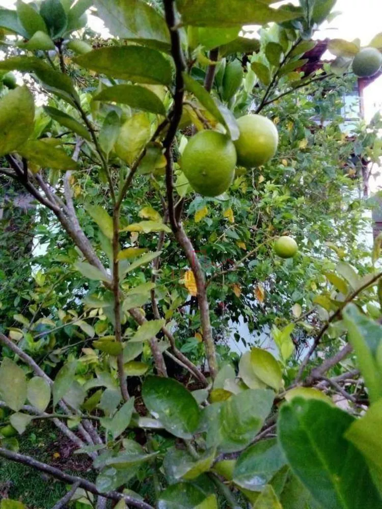 Casa de Condomínio, 2 quartos - Foto 19