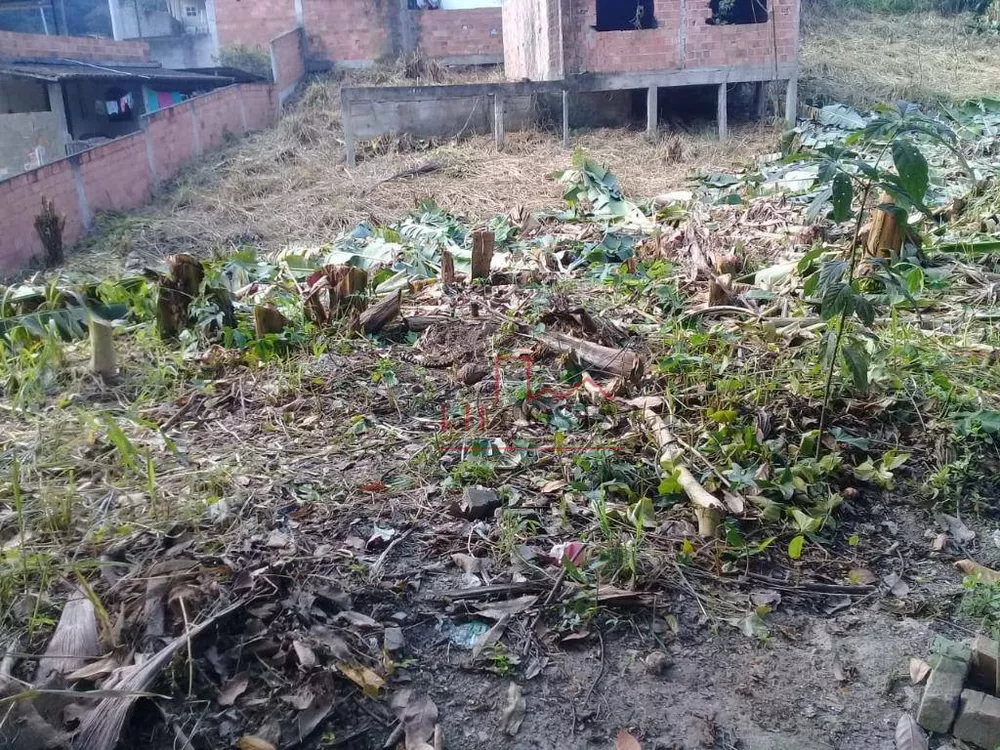 Casa, 3 quartos, 200 m² - Foto 14