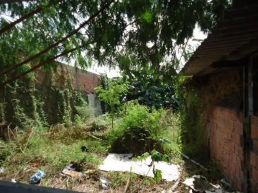 Terreno, 1300 m² - Foto 2