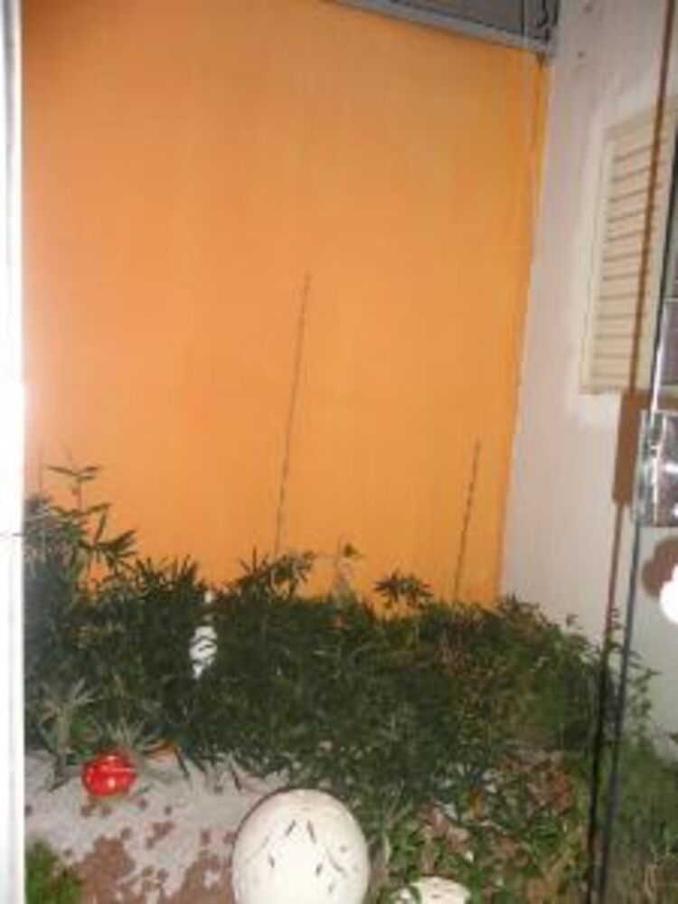 Casa à venda com 6 quartos, 300m² - Foto 18