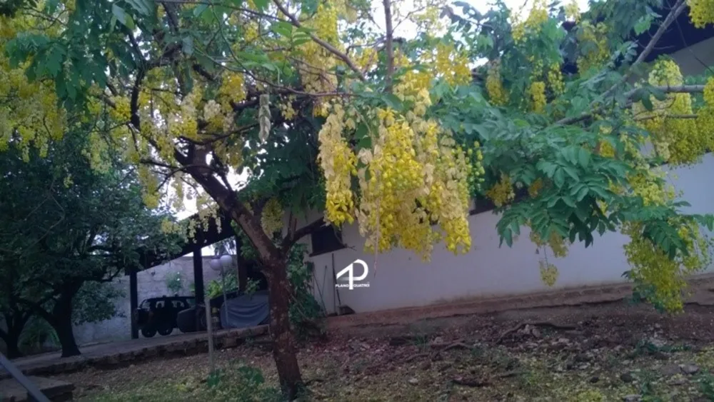 Casa, 4 quartos, 562 m² - Foto 8