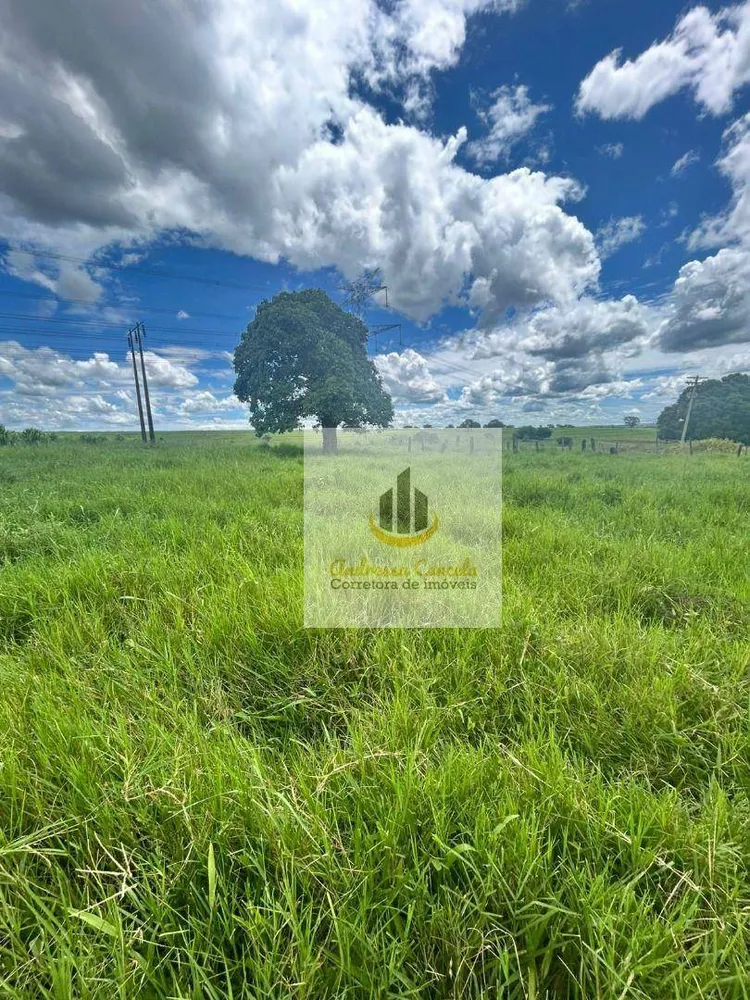 Chácara, 3 quartos, 2 hectares - Foto 1