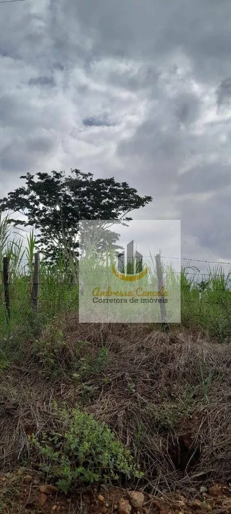 Loteamento e Condomínio, 2 hectares - Foto 3
