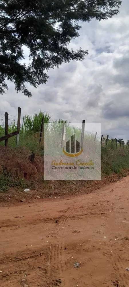Loteamento e Condomínio, 2 hectares - Foto 2