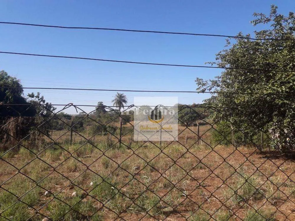 Terreno, 3 hectares - Foto 1