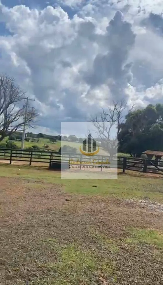 Fazenda, 24 hectares - Foto 3