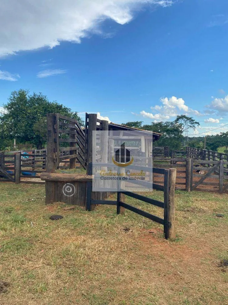 Fazenda, 24 hectares - Foto 1
