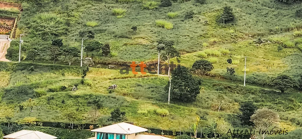 Terreno, 1254 m² - Foto 3