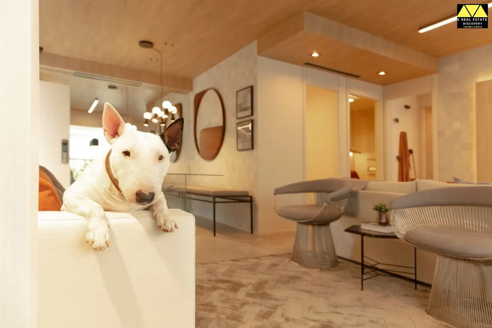 Apartamento, 3 quartos, 79 m² - Foto 3