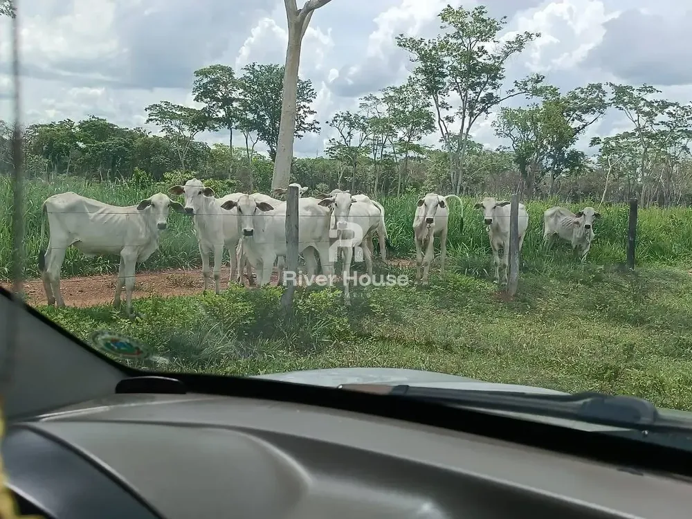 Fazenda, 500 m² - Foto 3