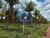 Fazenda, 500 m² - Foto 2