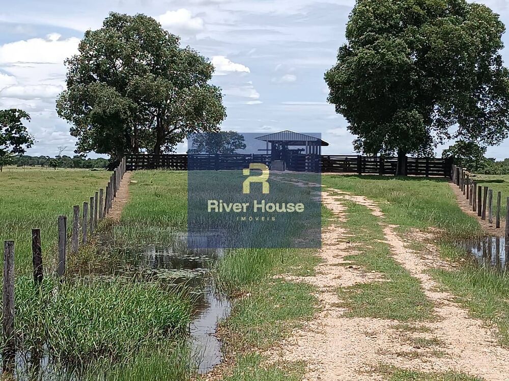 Fazenda, 493 hectares - Foto 2