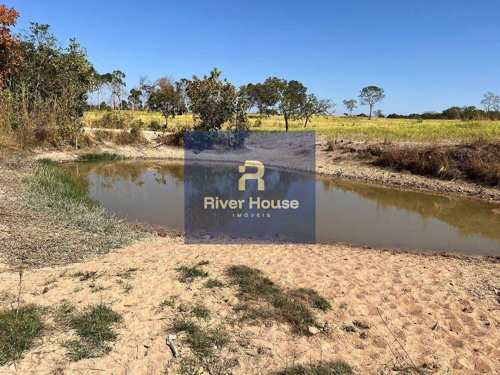 Fazenda à venda com 2 quartos, 10m² - Foto 6