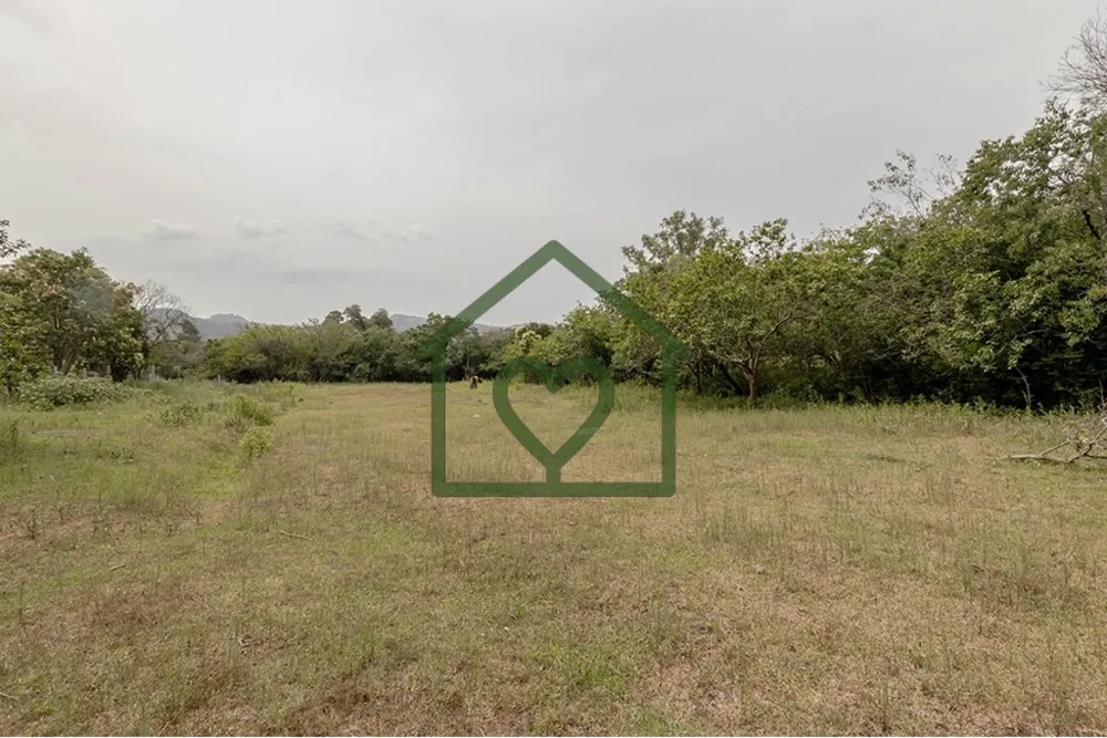 Terreno, 13191 m² - Foto 4