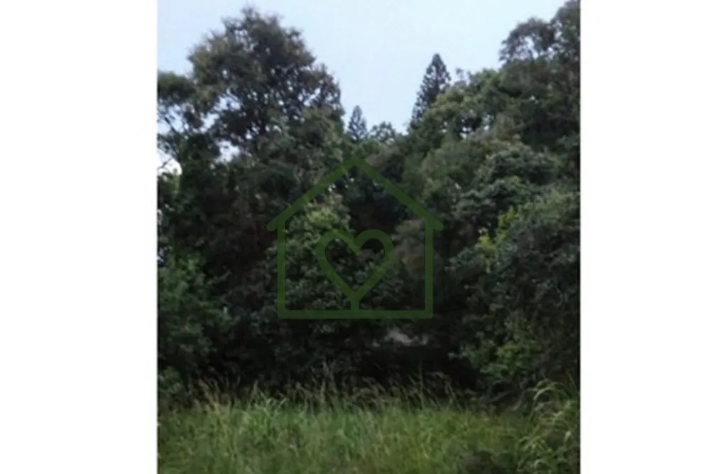 Terreno, 462 m² - Foto 5