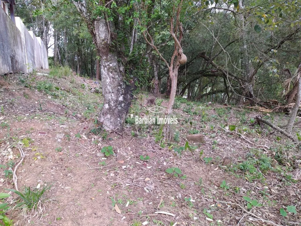 Terreno, 525 m² - Foto 3
