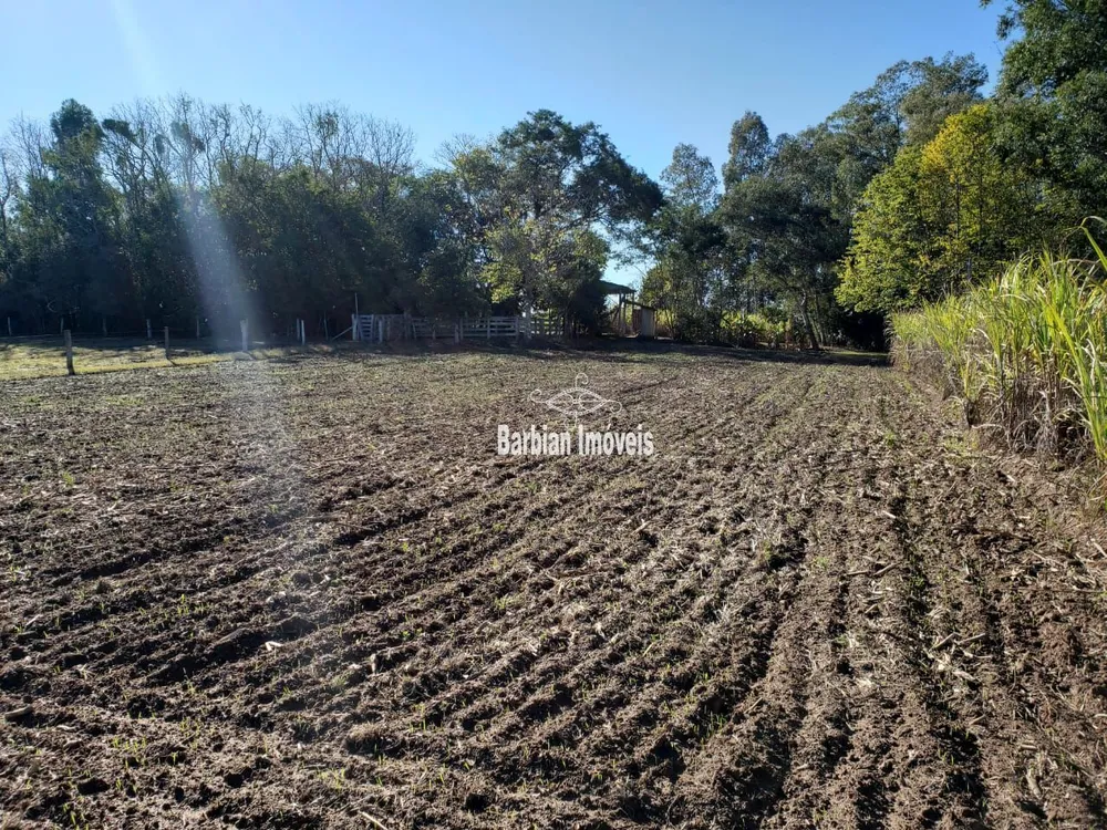 Chácara, 3 quartos, 75000 hectares - Foto 4