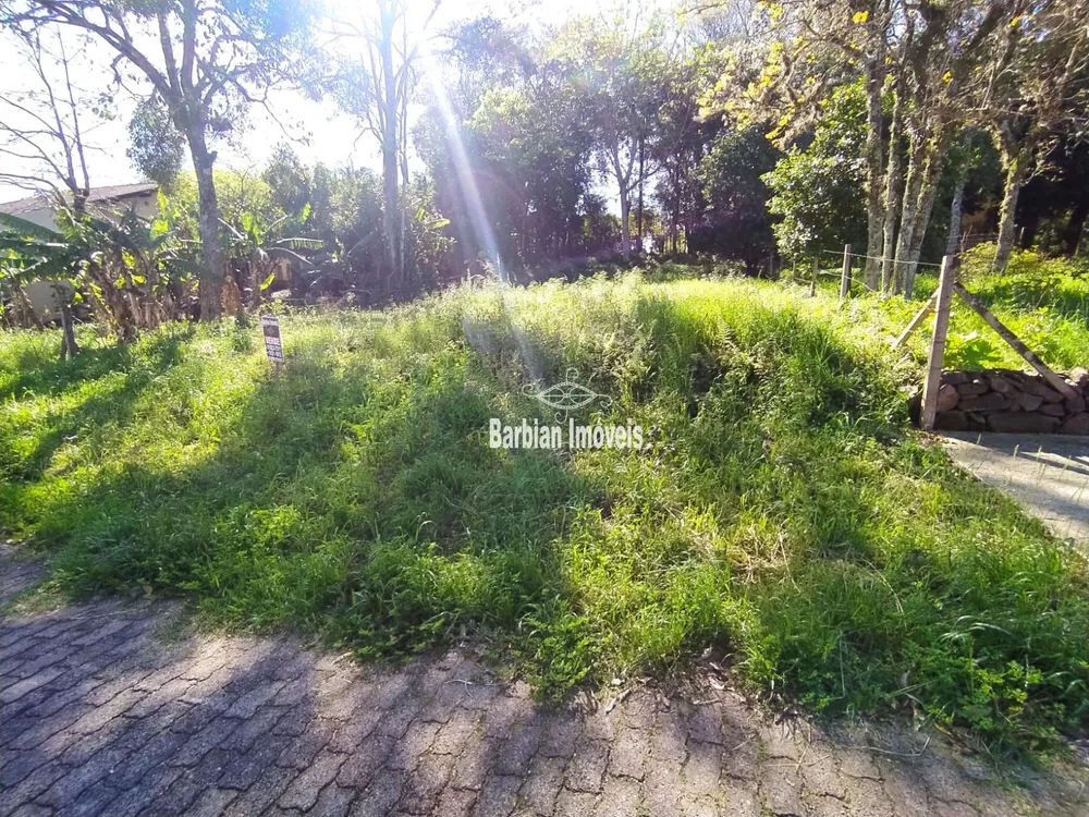 Terreno, 455 m² - Foto 4