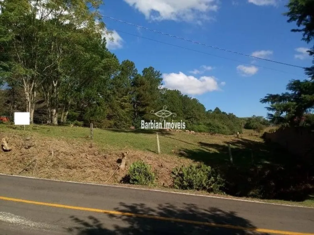 Terreno, 4 hectares - Foto 1