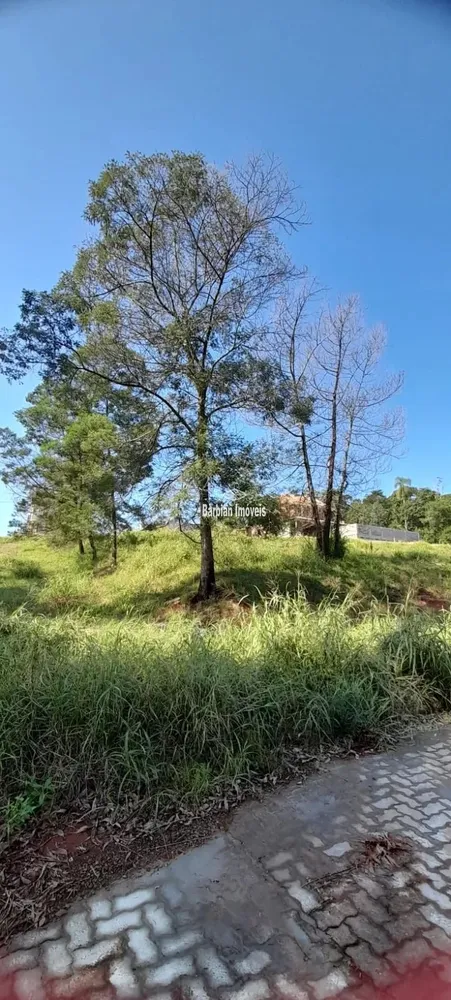 Terreno, 471 m² - Foto 2