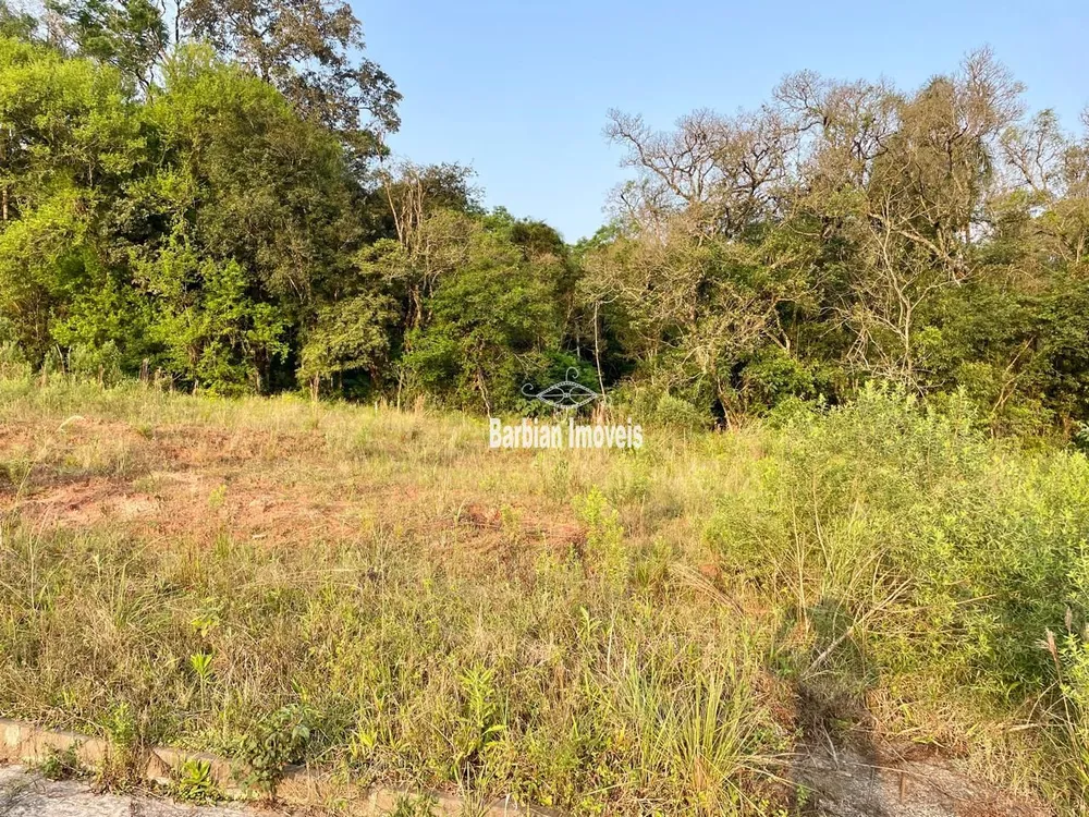 Terreno, 301 m² - Foto 1