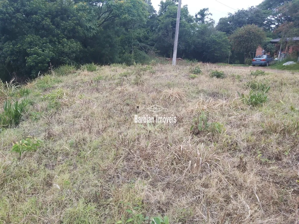 Terreno, 300 m² - Foto 3