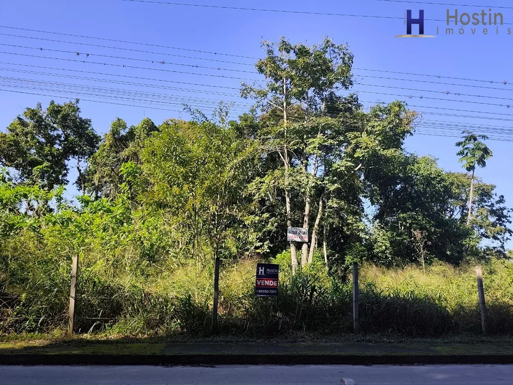 Terreno, 2 hectares - Foto 4
