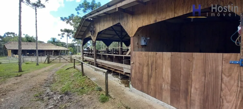Sítio, 3 quartos, 5 hectares - Foto 16