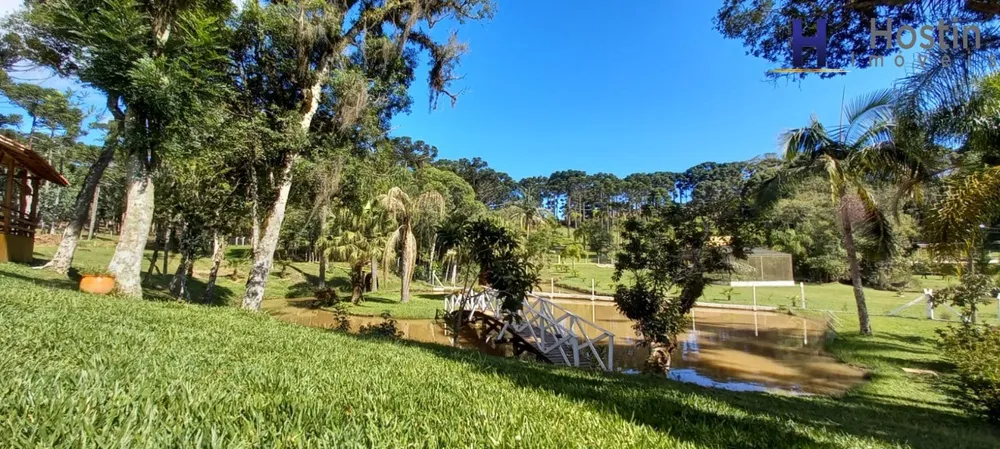 Sítio, 3 quartos, 5 hectares - Foto 10