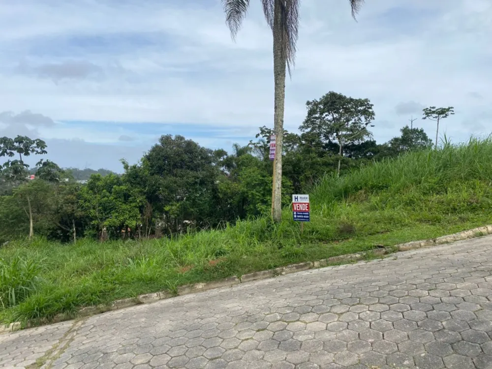 Terreno, 367 m² - Foto 3